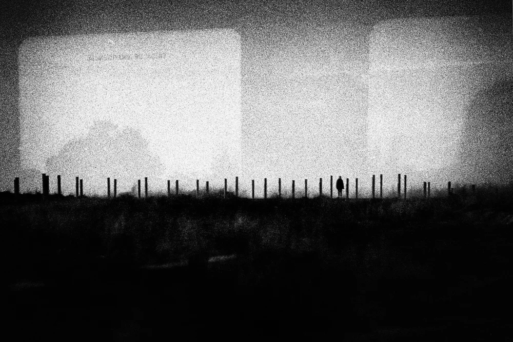 Abrantes, Paulo: Slow Train Coming