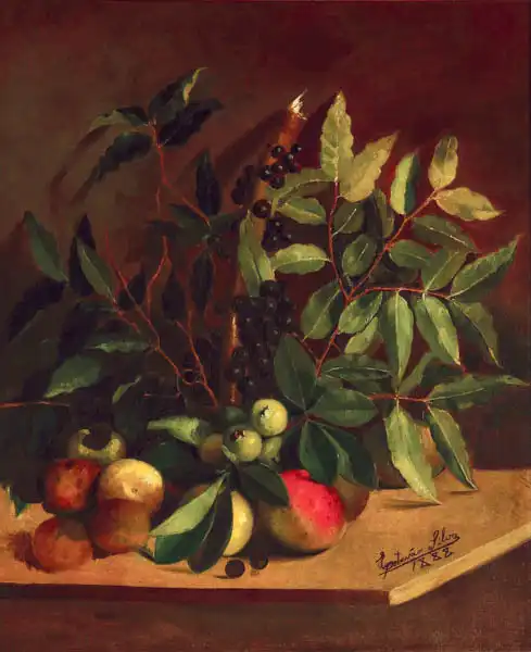 Silva, Estêvão: Fruits