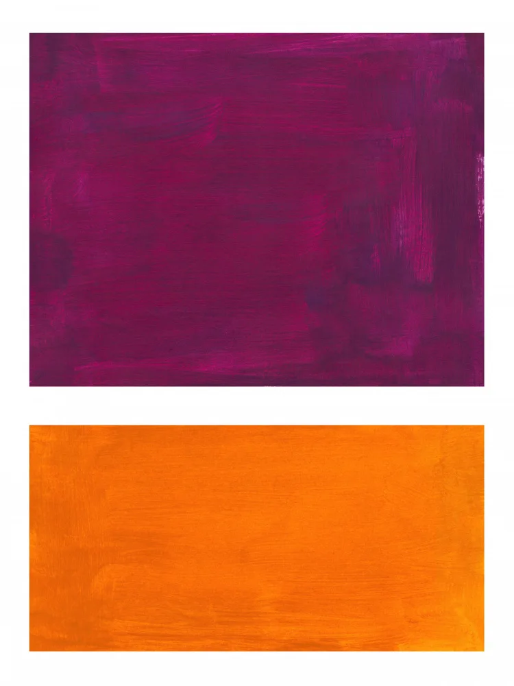 Haniff, Ejaaz: Campo de colores 37