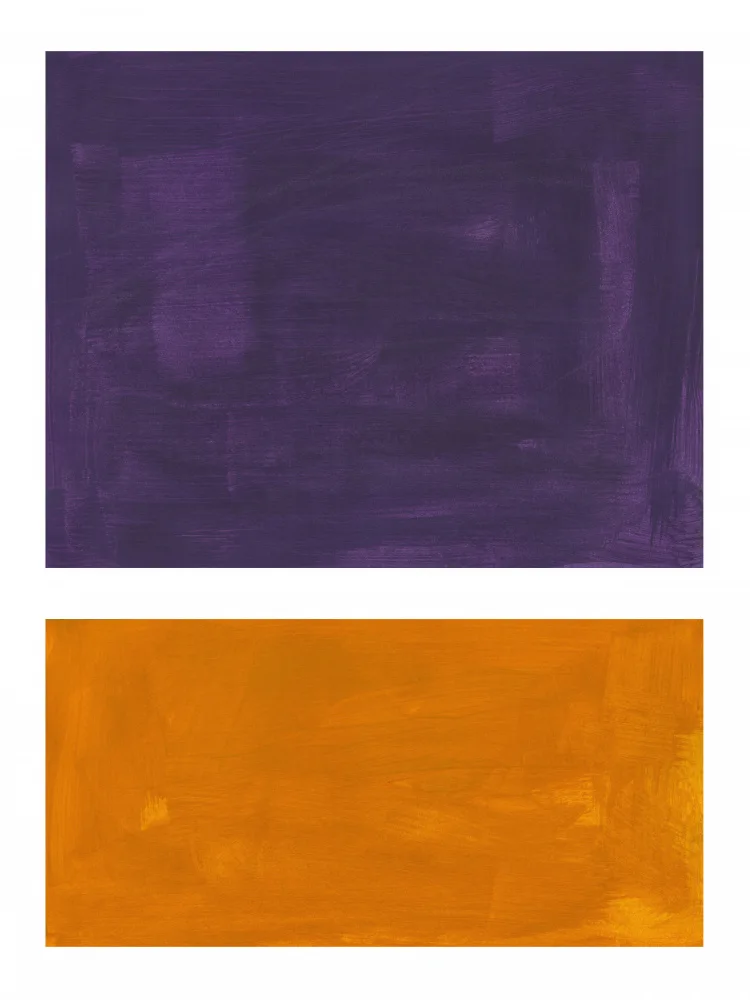 Haniff, Ejaaz: Campo de colores 39