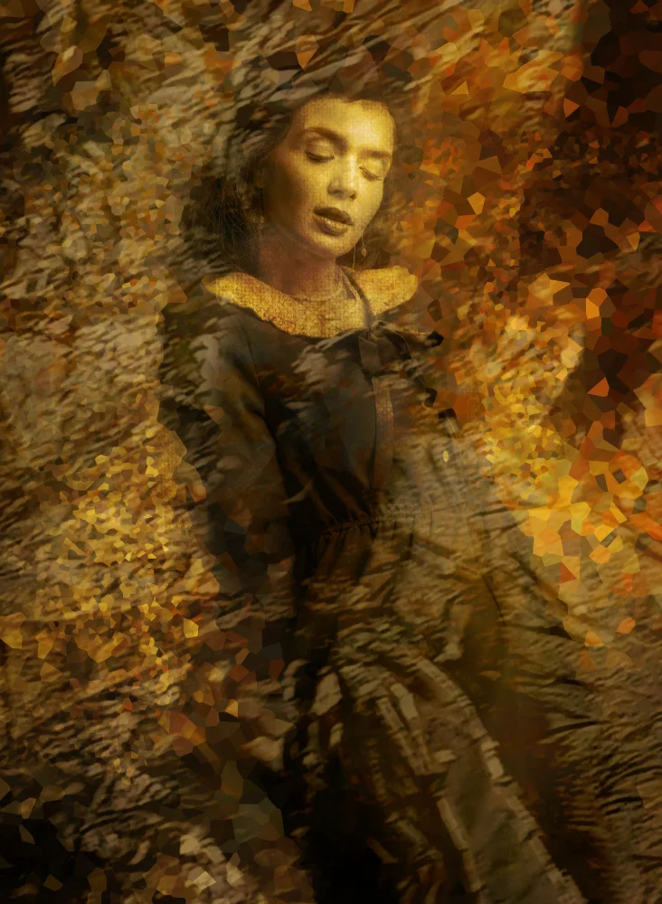 Pansky, Rachel: The woman in gold