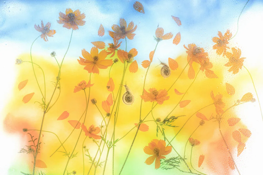 Miharu: blue sky poetry