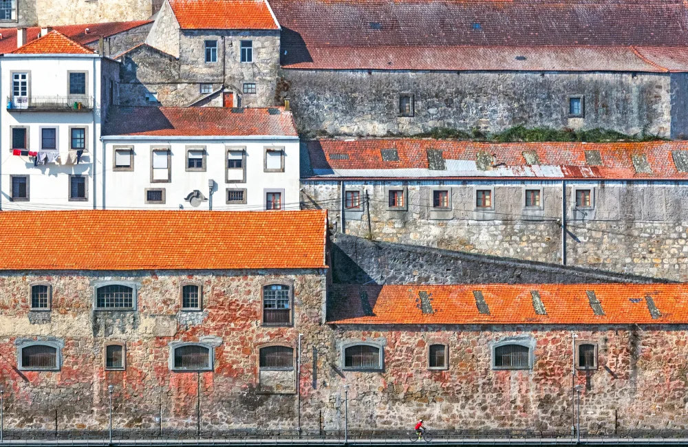 Pearson, Wayne: Osamocený strážce