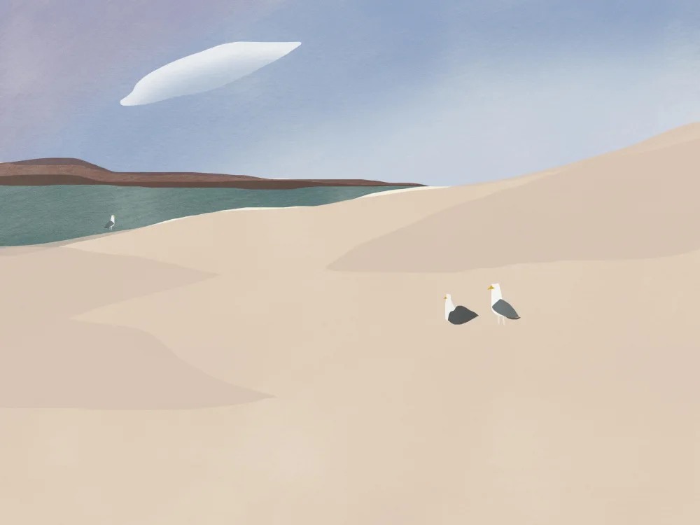 Dean, Little: Famille de mouette