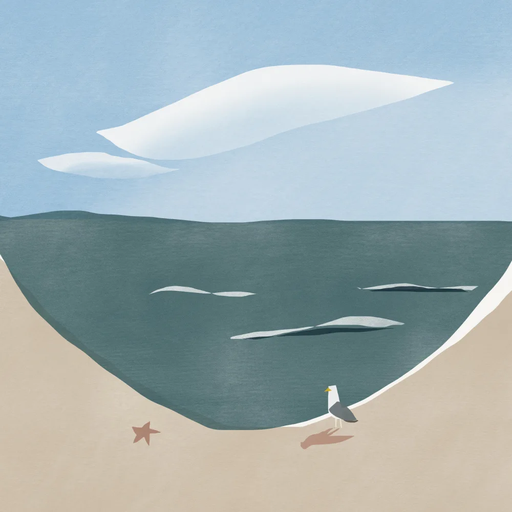 Dean, Little: Curva de playa y gaviota