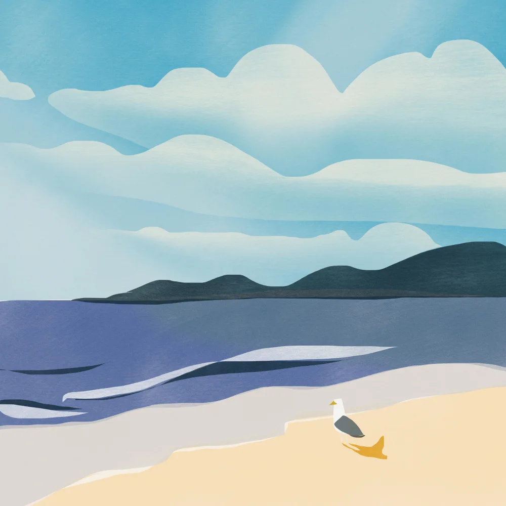 Dean, Little: Bain de soleil avec mouette
