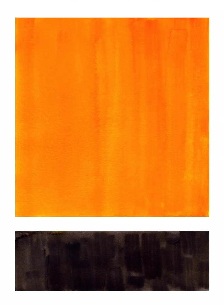 Haniff, Ejaaz: Campo de colores 53