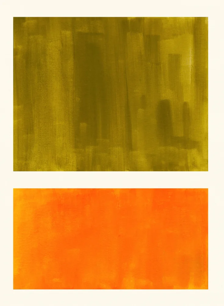 Haniff, Ejaaz: Campo de colores 54