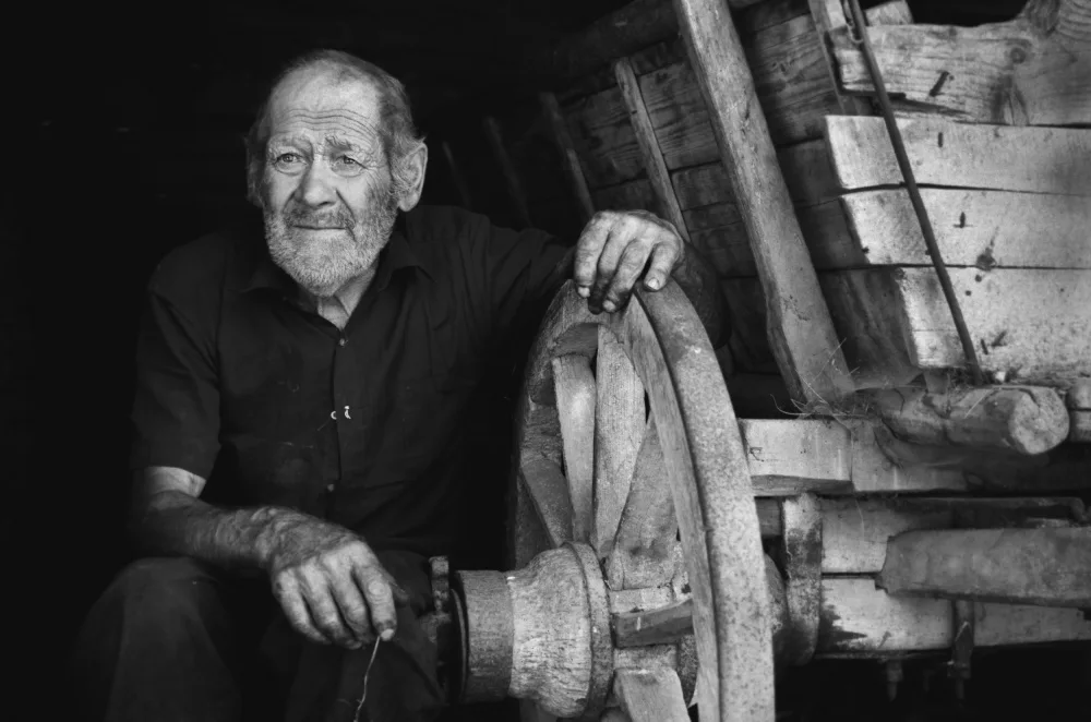 (EFIAP, Toldi Zoran: Rest