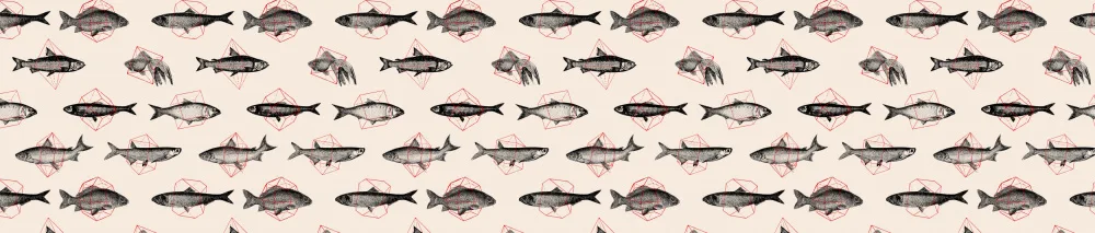 Bodart, Florent: Fish In Geometrics Nº1