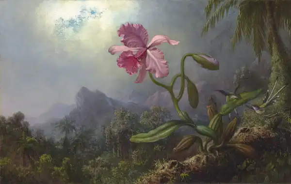 Heade, Martin Johnson: Two Hummingbirds with an Orchid