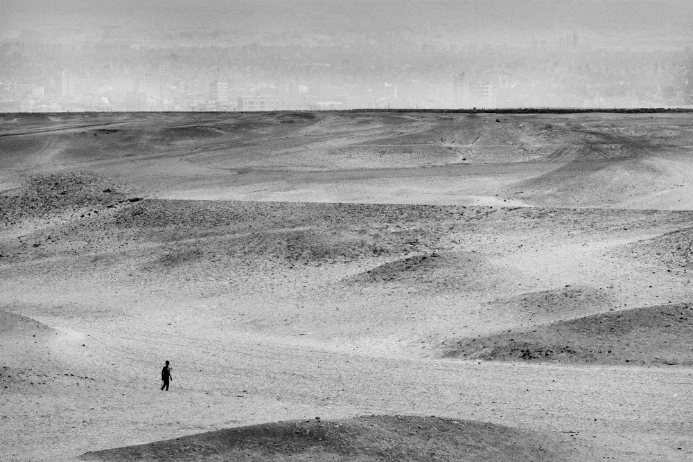 Cinteza, Marius: Lost