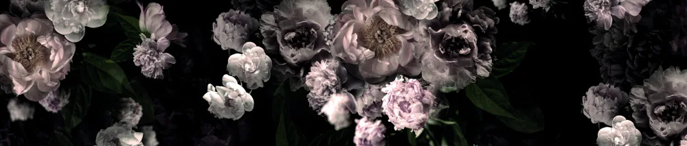 Lane, Hendon: Hl001  Black Roses 4806mm X 3000mm