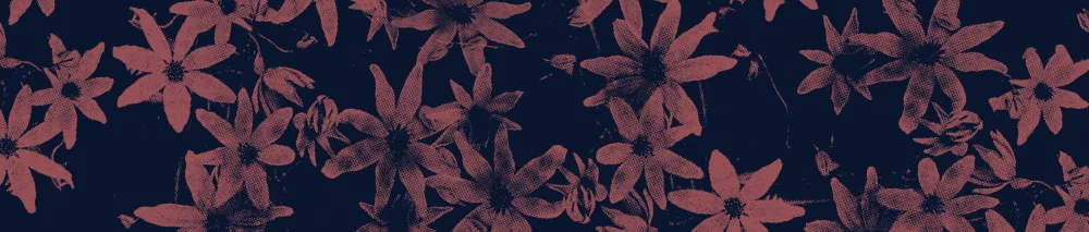 Bodart, Florent: Flowers At Dawn Nº1