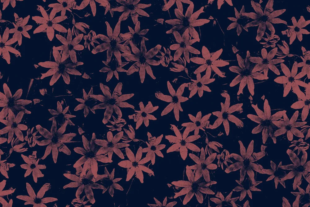 Bodart, Florent: Flowers At Dawn Nº1