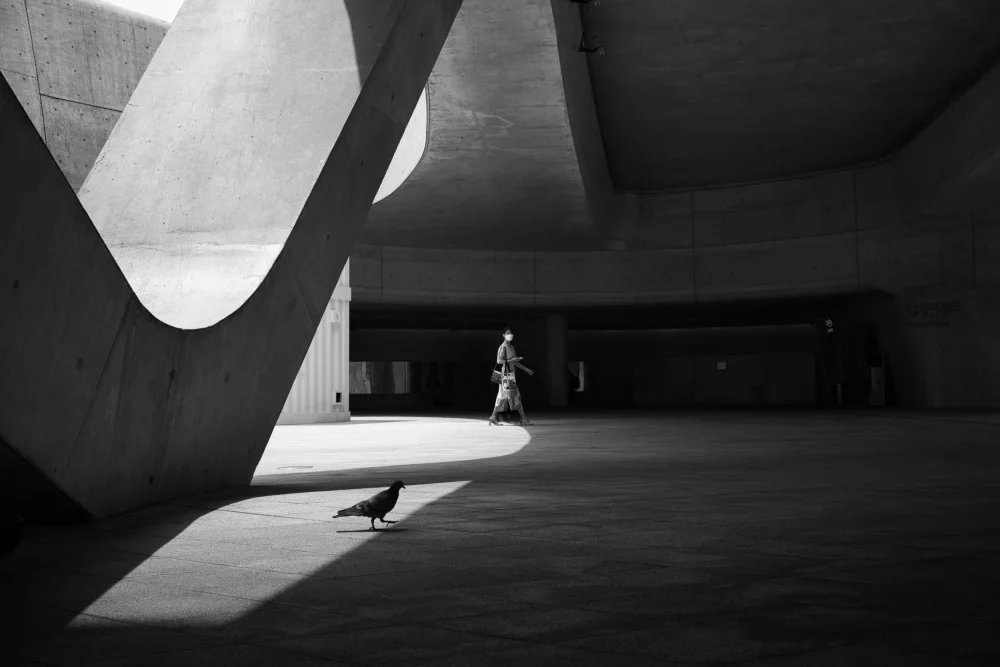 Damian: Compagno fortuito