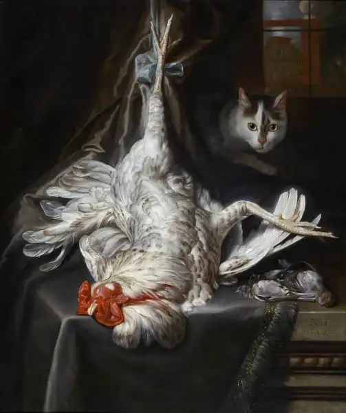 Hoogstraten, Samuel van: Nature morte avec un cockerell mort et un chat