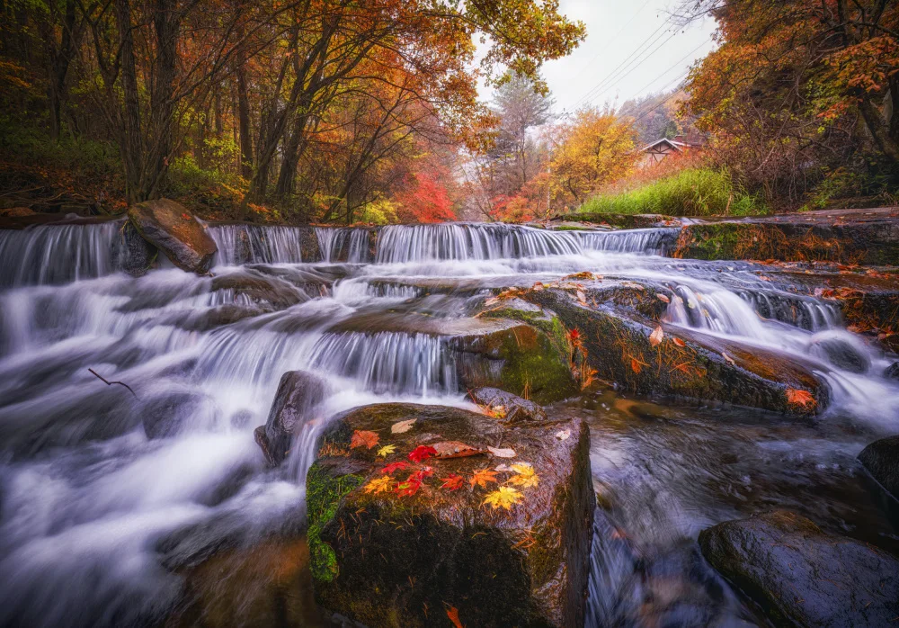 Seo, Tiger: Mountain streams