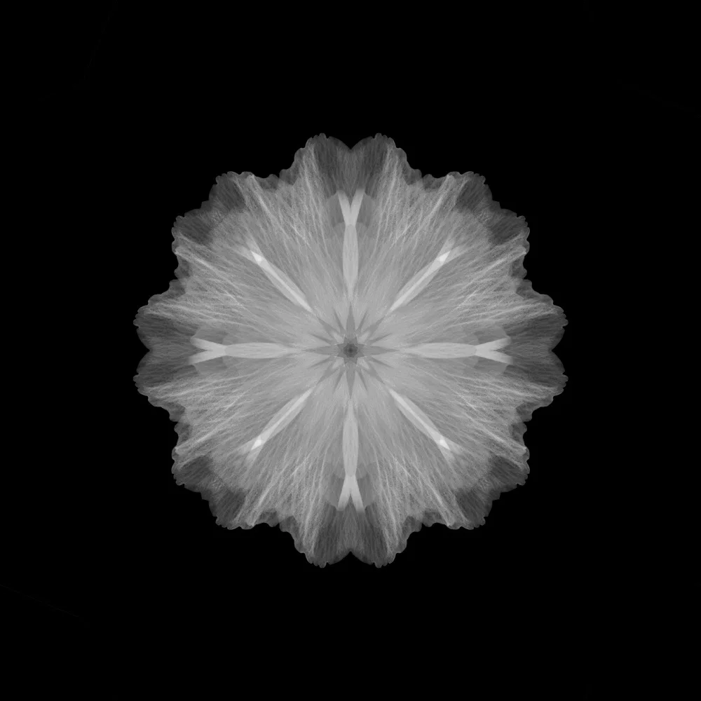 Grønkjær, Lotte: A former flower