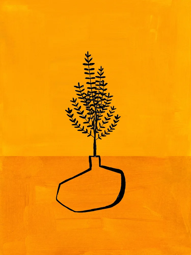 Haniff, Ejaaz: Senfvase