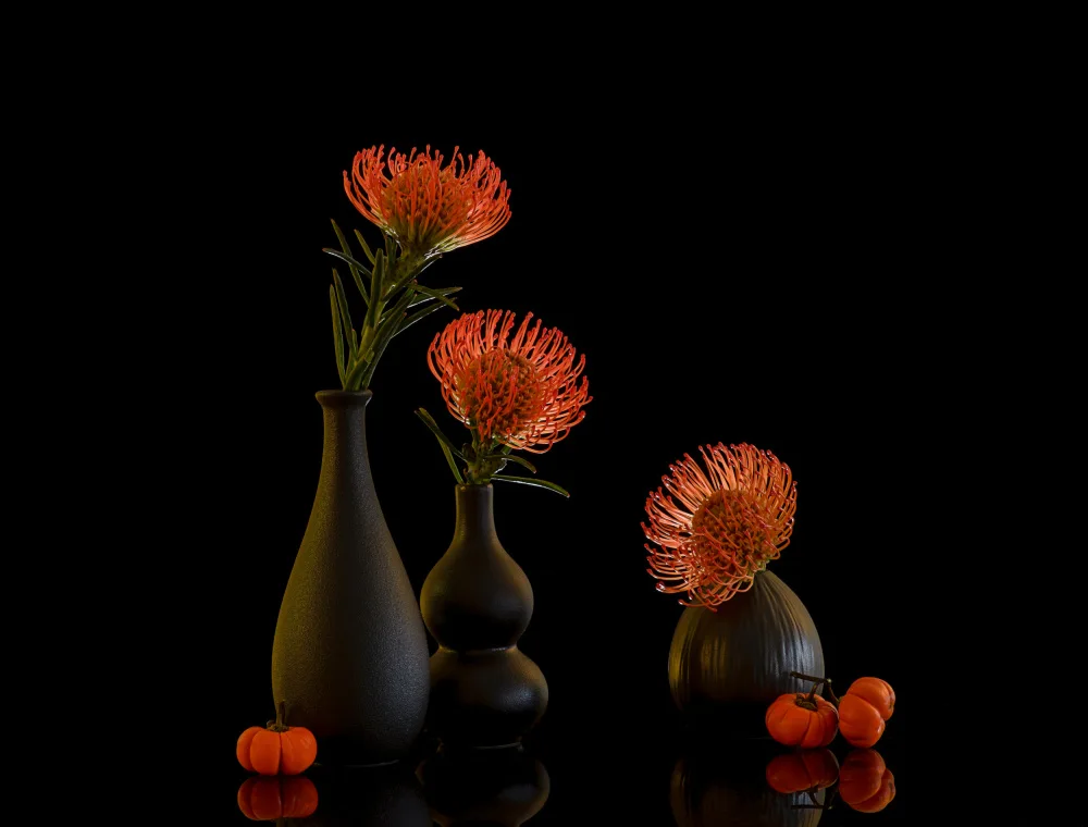 Sheng, Alice: still life 105