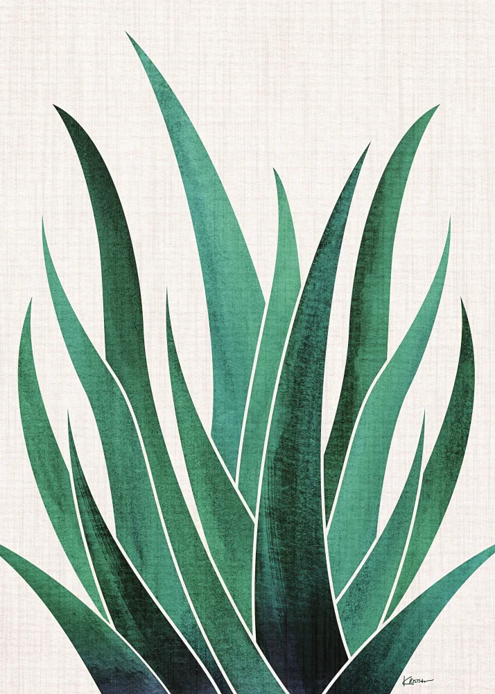 Gallagher, Kristian: Desert Agave Cactus