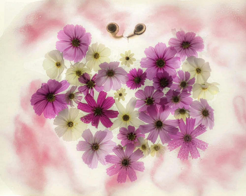 Miharu: love and peace