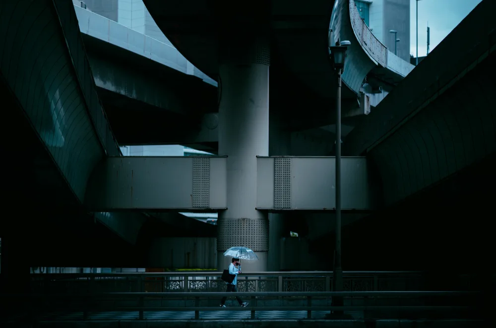Fujii, Yuzo: La giunzione