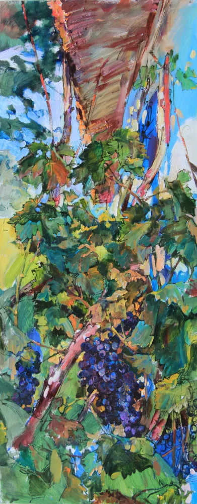 Kutsachenko, Andrii: Grapevine near the house