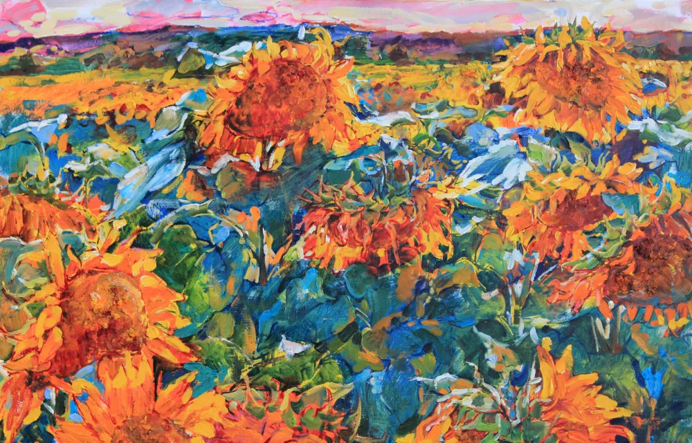 Kutsachenko, Andrii: Campo di girasoli