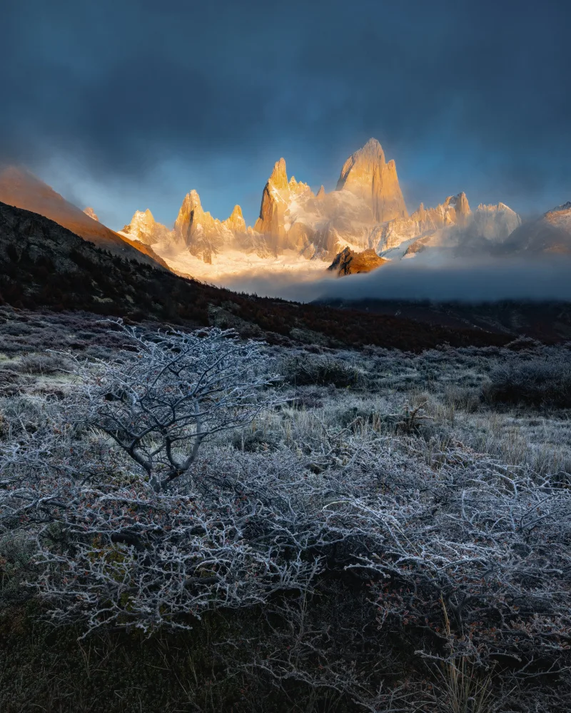 Ying, Li: Frost Morning