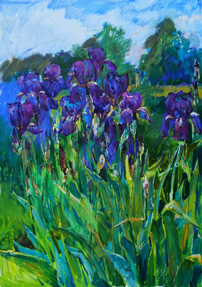 Kutsachenko, Andrii: Iris