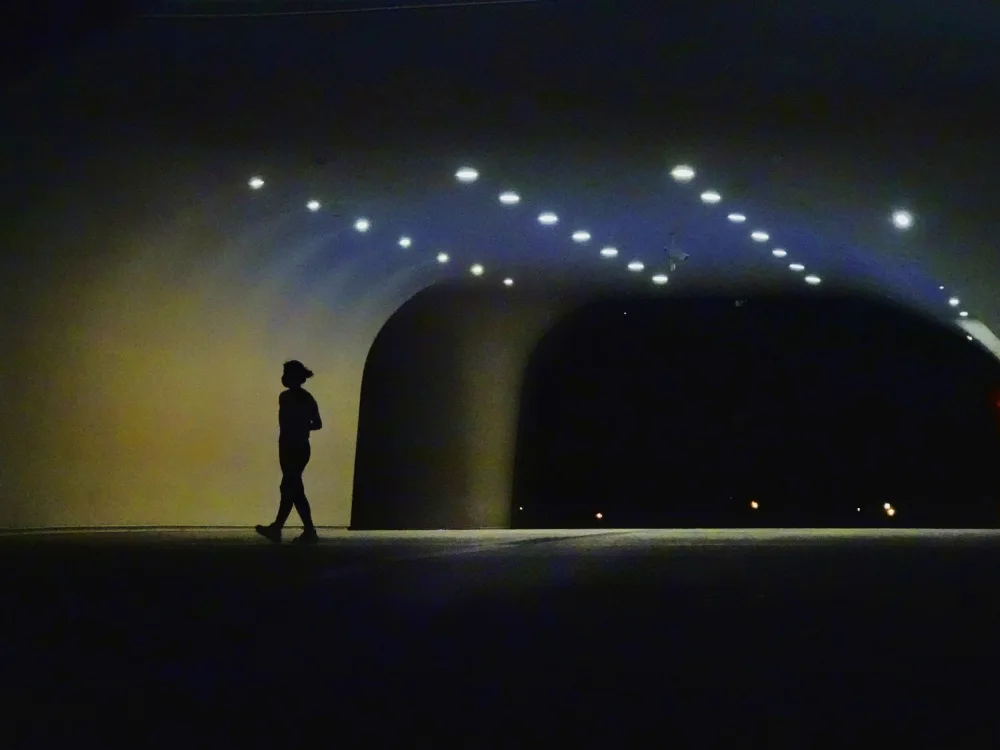Wang, Yi-Tang: silhouette solitaire