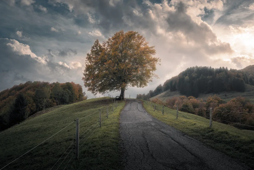 Franzoni, de Thomas: Time After Time