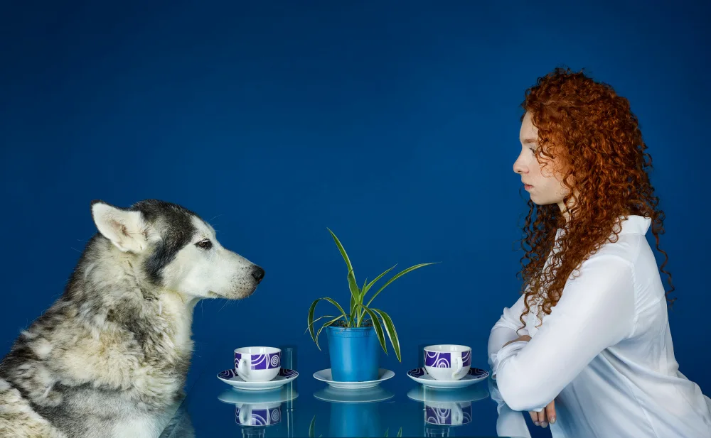 Allmaier, Michael: tea time