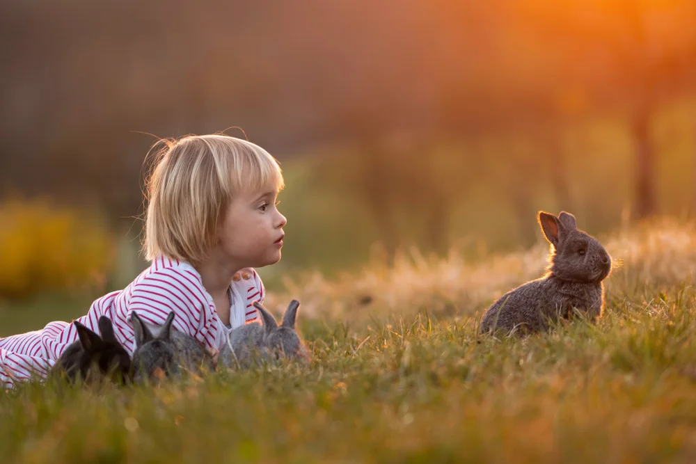 Šimic, Joško: Maja and bunnies