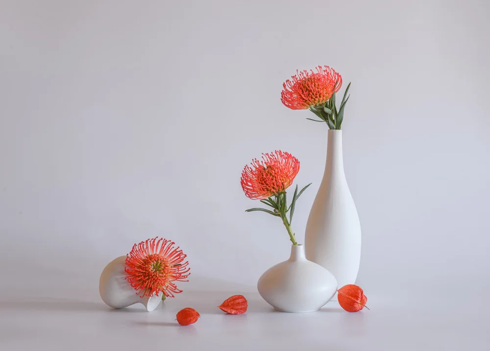 Sheng, Alice: still life 107