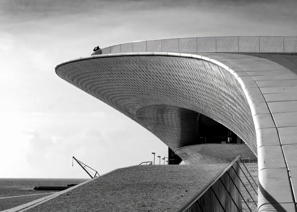 Abreu, Fernando: Curves