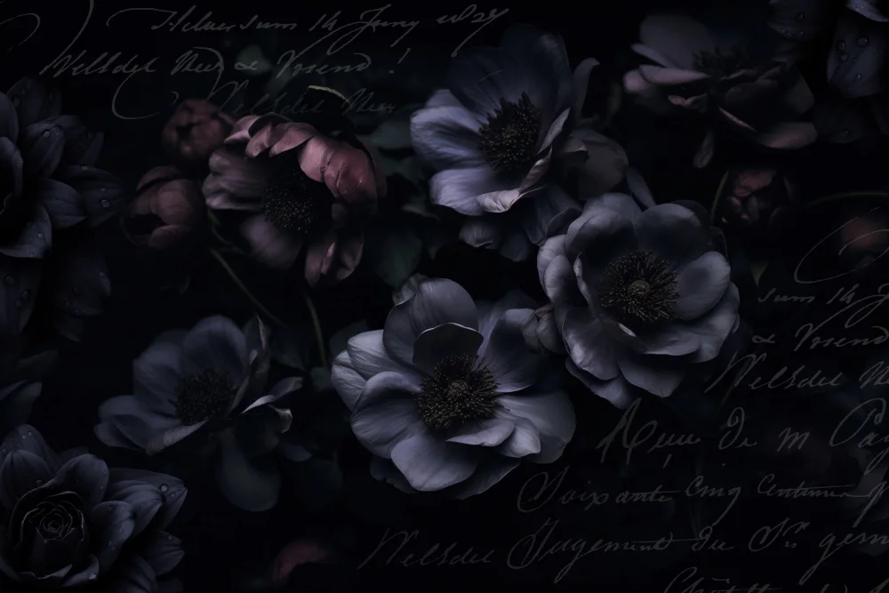 Haase, Andrea: Flores opulentas del jardín de medianoche