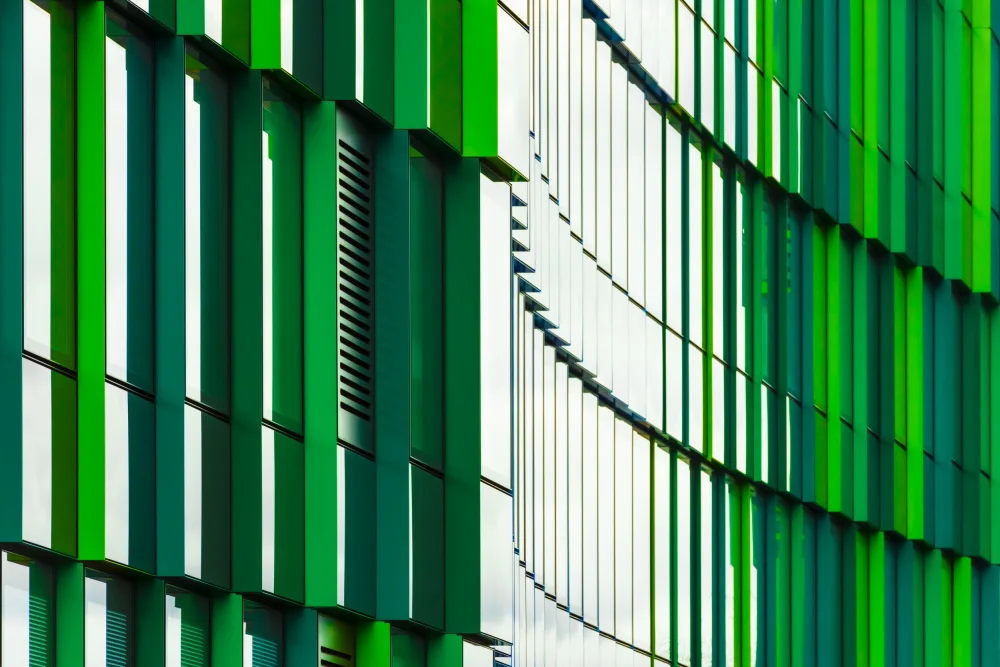 Dauer, Andy: green wave