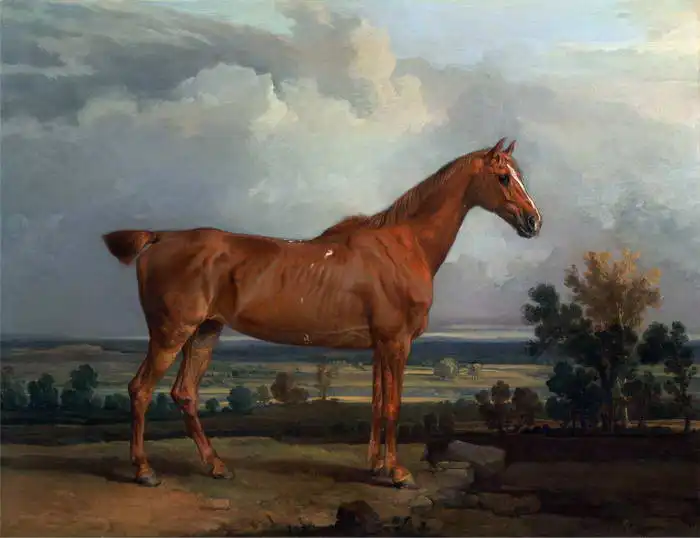 Ward, James: The study horse