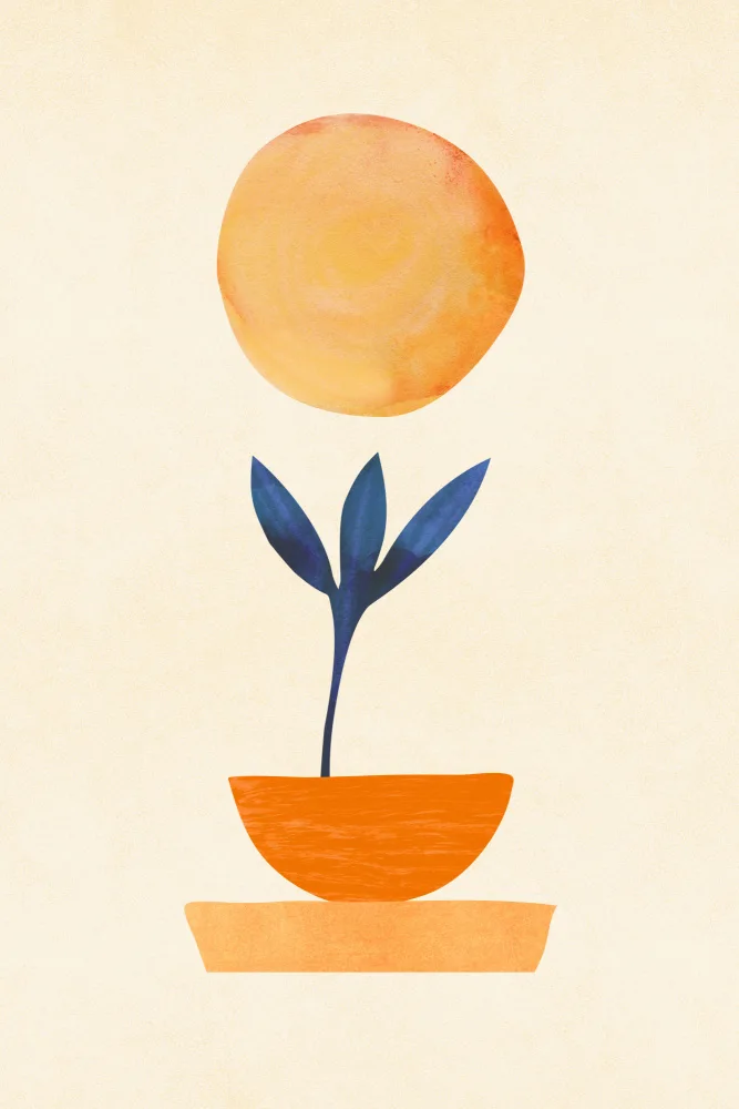 Gallagher, Kristian: Little Sprout