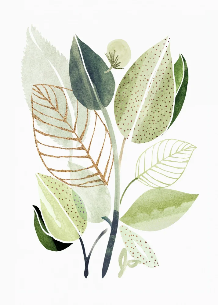 Gallagher, Kristian: Botanische Collage