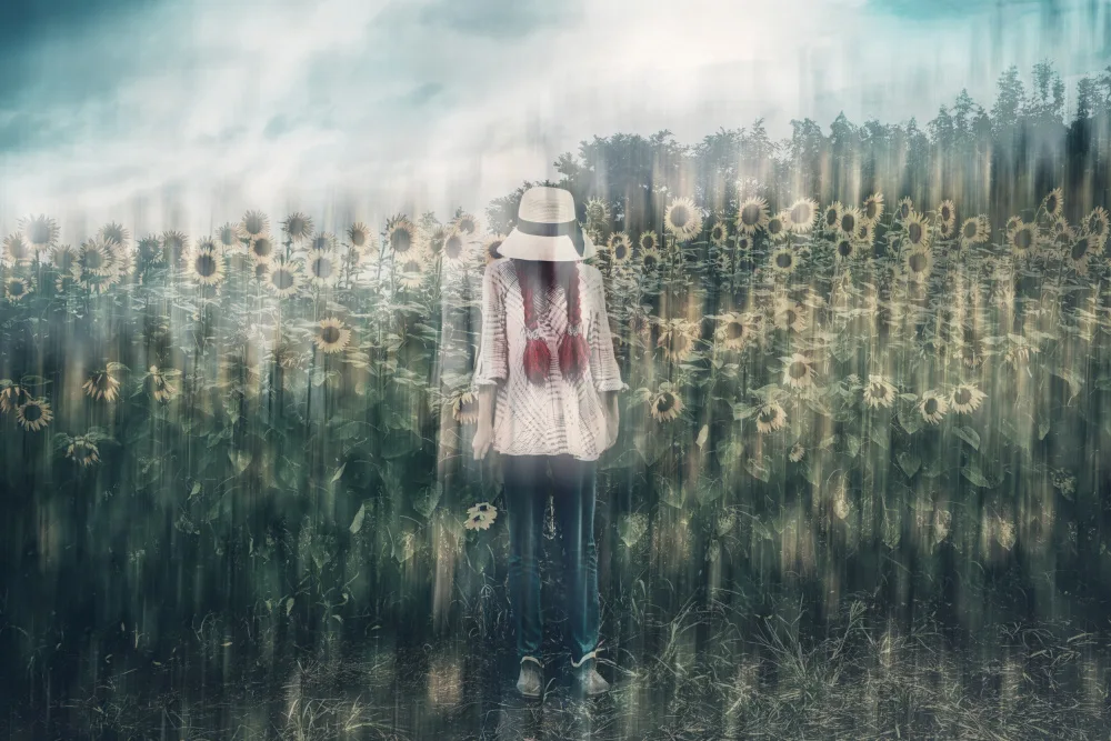 Hirai, Takiko: melancholy sunflower field