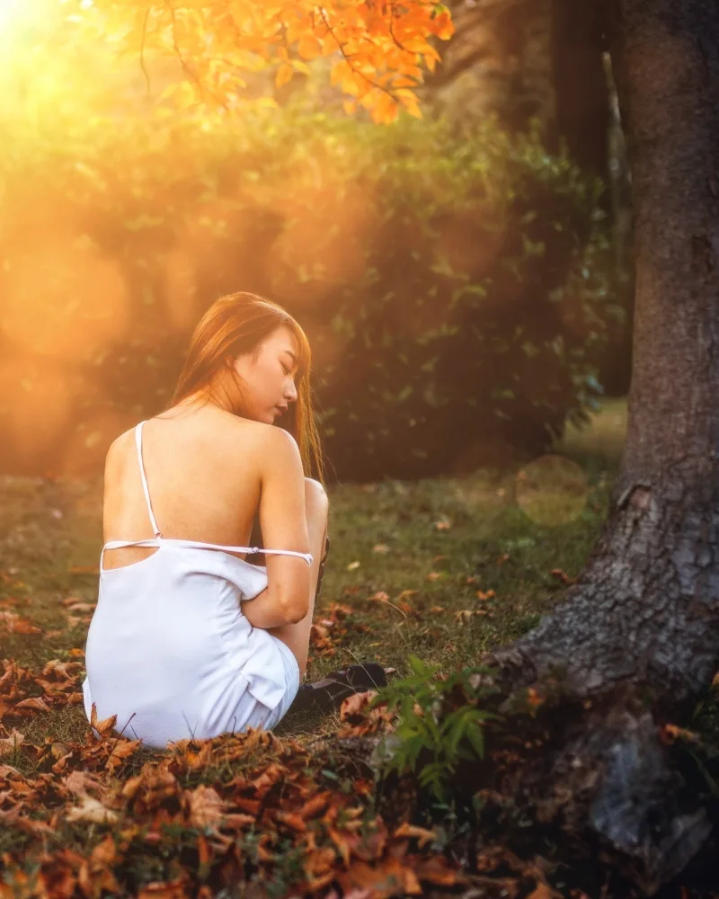 Nanev, Vasil: Autumn mood