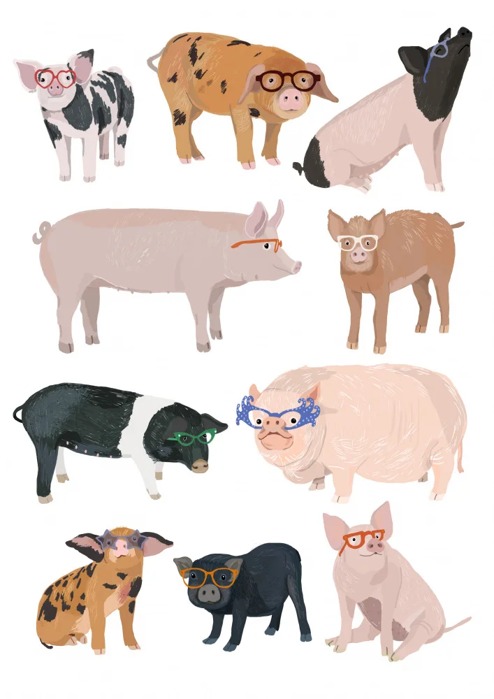 Melin, Hanna: Pigs Glasses