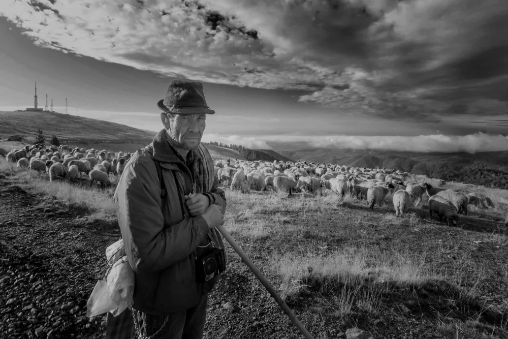 Calin, Silvia Rucsandra: Ranca, the shepherd BW