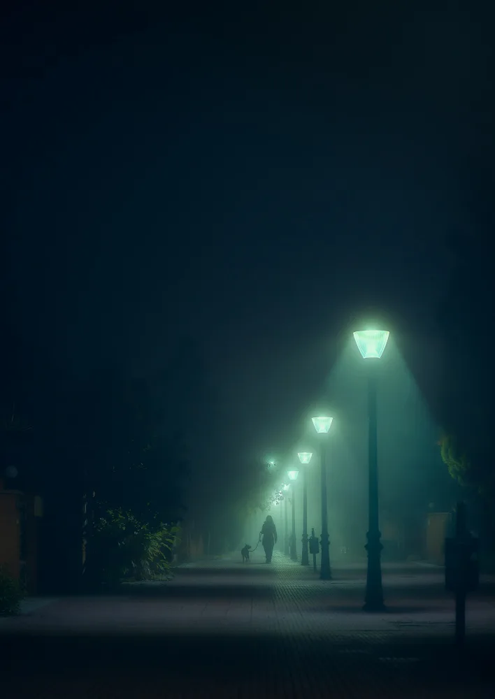 Martínez, Hernández Carlos: In the fog