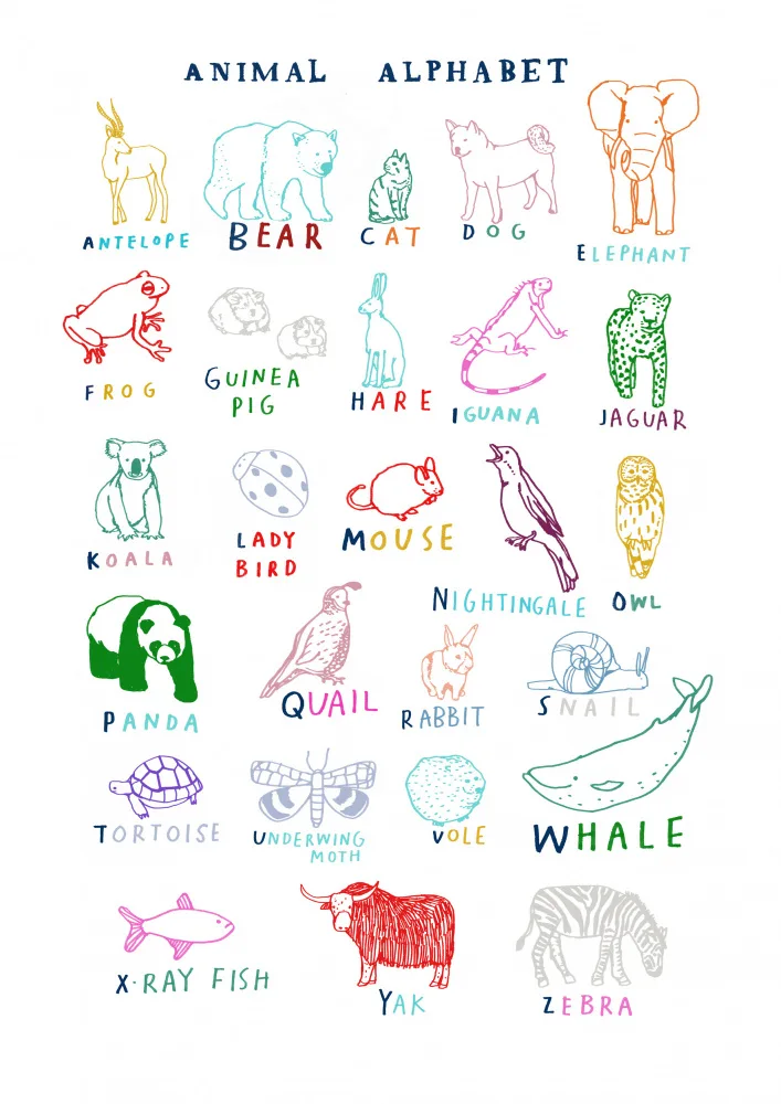 Melin, Hanna: Animal Alphabet