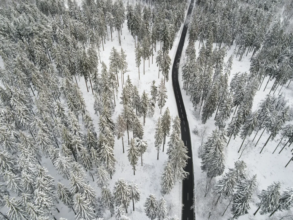 Böhmer, Mareike: Snow Covered Trees 5